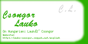 csongor lauko business card